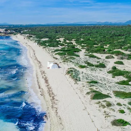 Palea * Campos (Mallorca)